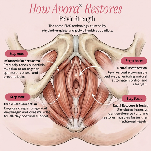 AVORA™ PelviPulse Pro
